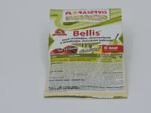 Bellis 13g