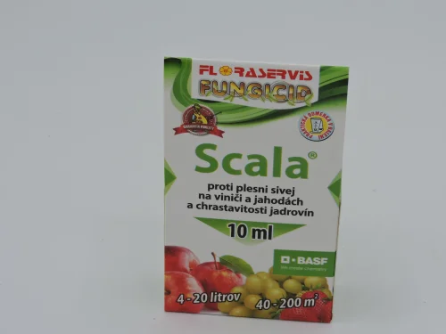 Scala 10ml